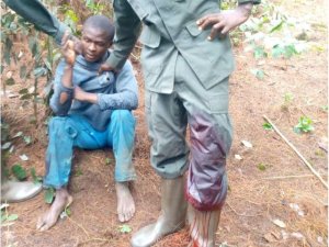 Nyamasheke: Bari mu mazi abira nyuma yo gutema umukozi wa Pariki y'Igihugu ya Nyungwe