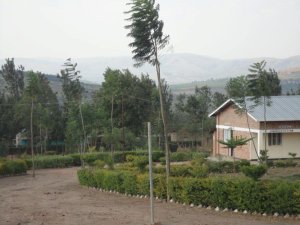 Nyagatare:Abarimu barashinja umuyobozi kubirukana no gushaka gusambanya abanyeshuri