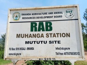 Uwari watawe muri yombi kubera abantu 4 bapfiriye mu kigega cy'amazi bakorera RAB yararekuwe