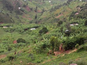 Abayobozi batandatu bahoze muri Rulindo basezeye nyuma yo gufungwa bakarekurwa