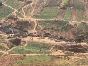 Musanze: Abaturage baratabaza nyuma y'uko imirima yabo yigabijwe n'abantu basaga ibihumbi 5 bashakaga Zahabu