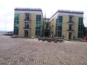 Rutsiro: Umugabo watemaga ibiti by'amakara mu ishyamba kimwe cyamugwiriye arapfa