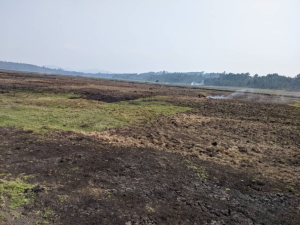 Rusizi: Rurageretse hagati y'abaturage n'uwo bashinja kubatesha umutwe akabakodesha ubutaka bwa leta