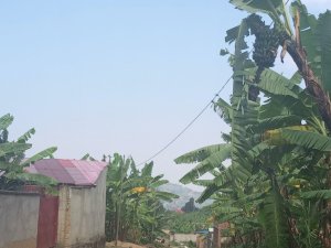 Rubavu: Bajujubijwe n'abajura biba insinga zibagezaho amashanyarazi