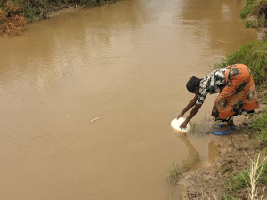 Nyamasheke: Bamaze amezi 9 nta mazi meza bayobotse i Kivu n'umugezi wa Karundura