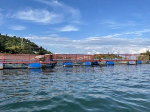 Rutsiro: Abana babiri bibye ubwato burabaroha, umwe arapfa