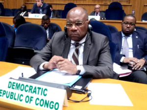 Kinshasa: Depite Okitundu yemeza ko FDLR yafashe bunyago RDC yose