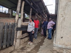 Karongi: Abasenateri bijeje ubuvugizi ku izamuka ry'ibiciro by'ibiryo by'amatungo