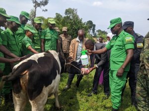 Karongi: Uwamugariye ku rugamba rwo kubohora igihugu yagabiwe inka y'ubutwari