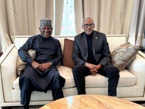 Umushoramari Abdul Samad Rabiu yashimye imiyoborere ya Perezida Kagame