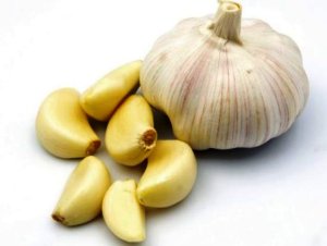 Reba akamaro ka Tungurusumu birimo no kwirukana imibu mu nzu