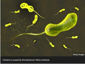 Cholera iri kwiyongera bikomeye mu bihugu by'Afurika– WHO 
