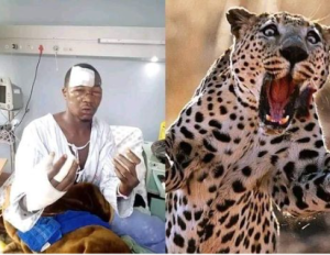  SOUTH AFRICA: Umugabo yiswe intwari nyuma yo kurwana n'Ingwe akayica