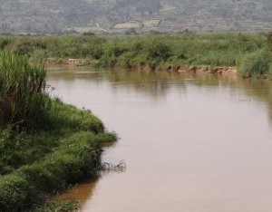 Kamonyi: Umuntu yagaragaye muri Nyabarongo ari mu rwasaya rw'ingona