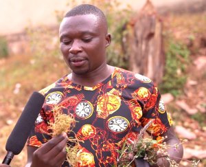 RUBAGINTARE yahishuye uburyo agendana n'abakurambere b'iwabo 12 akanavugana nabo binyuze mu nzoka,afite n'imiti ikurura abakobwa