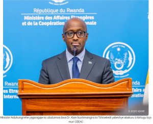 Tshisekedi ntakwiye gukerensa imbaraga za FDLR - Minisitiri Nduhungirehe