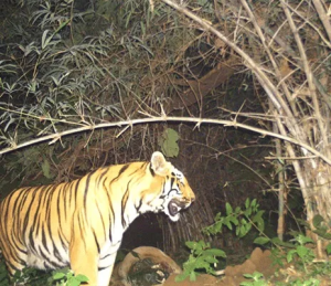 Urusamagwe rwishe umwana nyuma y'amasaha make ruragaruka rwica sekuru