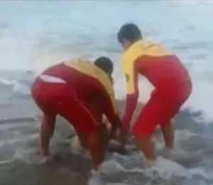 Umusore yarumwe igutsina n'igifi cya Shark bimuviramo urupfu [AMAFOTO]