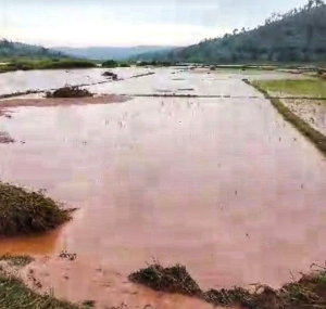 Ibiza byishe abantu 13 b'i Gisagara mu mwaka umwe