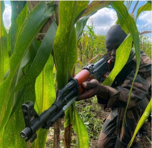 MONUSCO yahaye FARDC imyitozo yizeye ko izabafasha kwirukansa M23