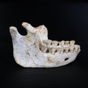 Maroc: Havumbuwe ibisigaratongo by'abantu babayeho mu myaka ibihumbi 700 ishize